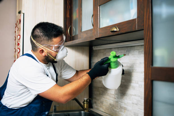 Flea Control Services in Forest City, PA