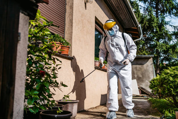 Best Ant Control Services  in Forest City, PA
