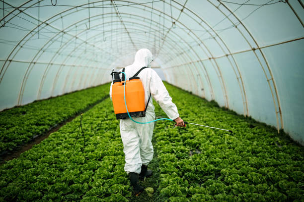 Pest Prevention Services in Forest City, PA