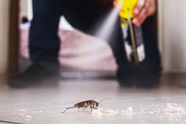 Best Pest Control Near Me  in Forest City, PA