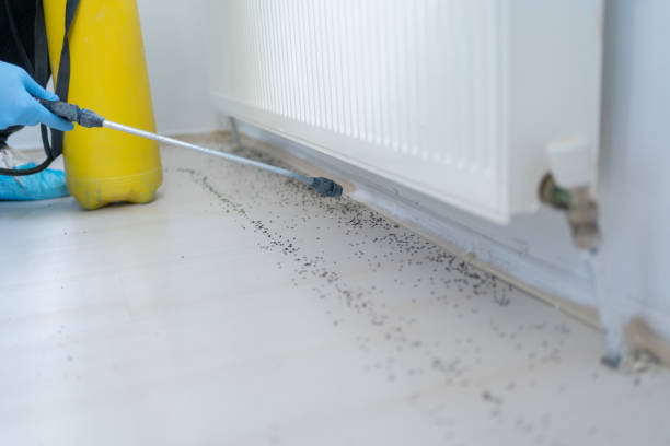 Best Bed Bug Extermination  in Forest City, PA